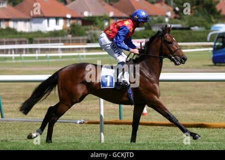 Pferderennen Sie - Ladbrokes Renntag - Leicester Racecourse Stockfoto