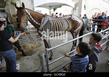 Kinder besuchen heute die Bildungszone der Dublin Horse Show im RDS. Stockfoto