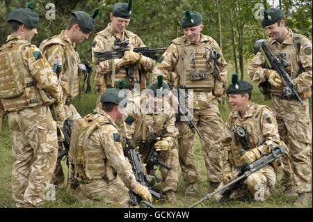 16 Air Assault Brigade Trainingsübung Stockfoto