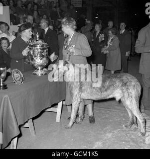 Tiere - der Crufts Dog Show - Olympia, London Stockfoto