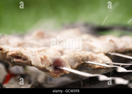 Vorbereitung von Schweinefleisch Schaschlik auf Kohlenbecken auf dem Lande Stockfoto