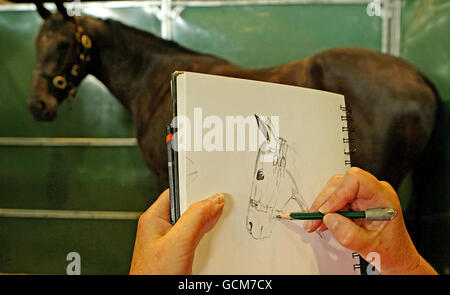 Eine Frau skizziert ein Pferd in den Ställen bei der Failte Ireland Dublin Horse Show 2010 im RDS. Stockfoto