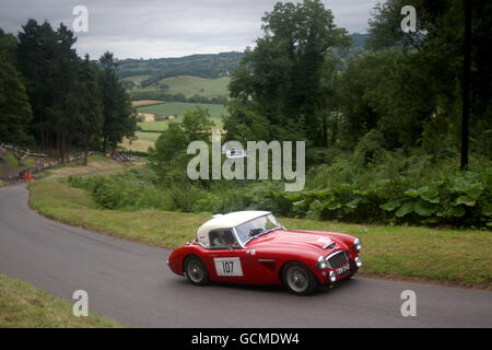 Mike Cockayne beim Austin Healey 3000 1962 während des Shelsley Walsh Hill Climb, Worcestershire. Stockfoto