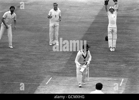 Der australische Schläger Ray Bright wird als englische Mannschaftskollegen (links-rechts) Mike Gatting, Mike Brealey und Wicket-Keeper Bob Taylor von LBW erwischt Stockfoto