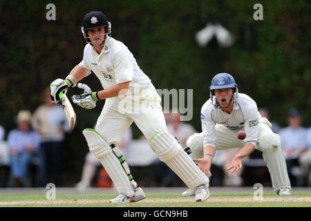 Cricket - Liverpool Victoria County Championship - Division Two - Tag drei - Surrey V Sussex - Guildford Cricket Club. Steven Davies von Surrey in der Schlagaktion Stockfoto