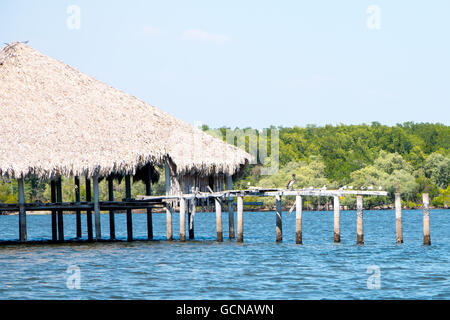 Pelikane, genießen Sie die Sonne thront auf einige Reste eines Wasser-Restaurants in der Nähe von Cordincillo bei El Paz in El Salvador Stockfoto