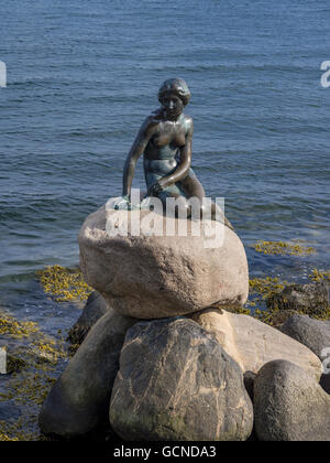 Die Meerjungfrau, Skulptur in Kopenhagen, Dänemark Stockfoto