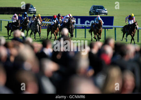 Läufer und Reiter in der E.B.F. / West Sound und West FM Maiden Stakes machen sich auf dem Weg zum Zielpfosten an der Menge vorbei Stockfoto