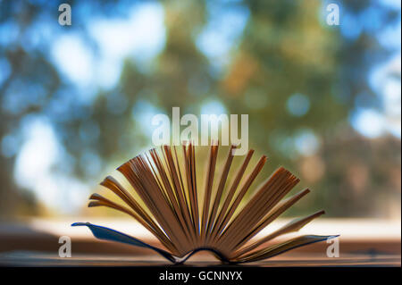 Büchlein Nahaufnahme Schuss mit geöffneten Seiten und Bokeh Hintergrund. Stockfoto