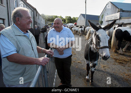 Pferdehändler auf der Ould Lammas Messe in Ballycastle, Co Antrim. Stockfoto