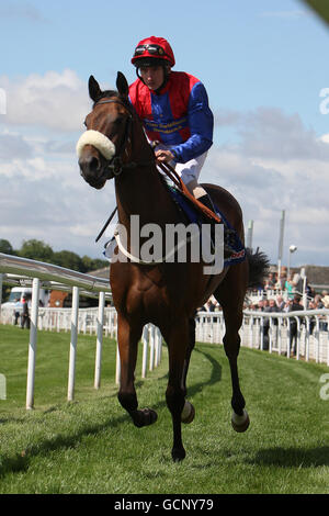 Jockey PJ McDonald auf Silvertrees vor dem sportingbet.com Acomb Einsätze Stockfoto