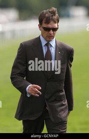 Horse Racing - Ebor Festival - Juddmonte International - York Racecourse Stockfoto