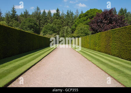 Gepflegte Rasenflächen und Hecken am Eingang des RHS Rosemoor in Devon Stockfoto