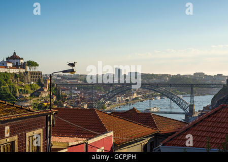 Möwe, genießen den Blick auf den Dom Luis ich (oder Luiz ich) Brücke über den Fluss Douro in der Stadt Porto. Portugal. Stockfoto