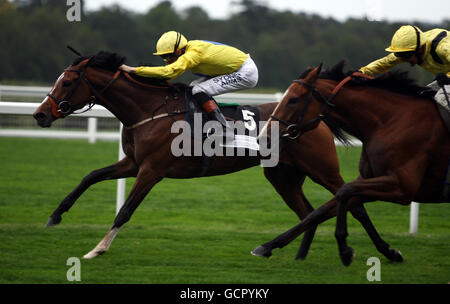 Polly's Mark geritten von Richard Hughes auf ihrem Weg zum Sieg in der Prinzessin Royal Transformers und Gleichrichter E.B.F. Stakes während des Transformers & Rectifiers Day auf der Ascot Racecourse, Berkshire. Stockfoto