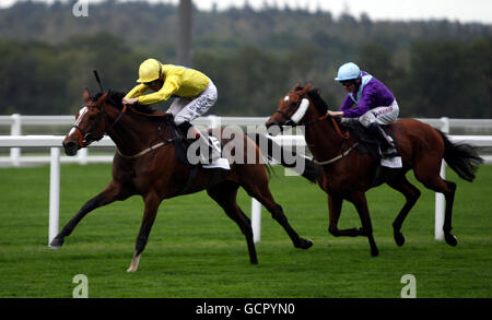 Horse Racing - vierte CAMRA Bierfest - Tag eins - Ascot Racecourse Stockfoto