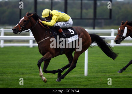 Horse Racing - vierte CAMRA Bierfest - Tag eins - Ascot Racecourse Stockfoto