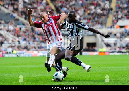 Fußball - Barclays Premier League - Newcastle United / Stoke City - St James' Park. Shola Ameobi von Newcastle United (rechts) und Andy Wilkinson von Stoke City (links) Stockfoto