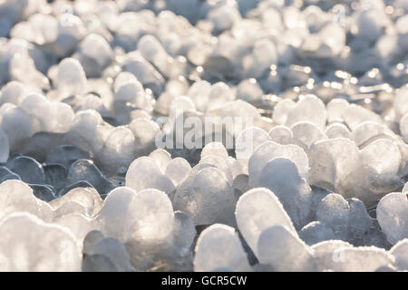 Kleine Runde Eiszapfen bildete sich um Rasen Laub auf dem Boden Stockfoto