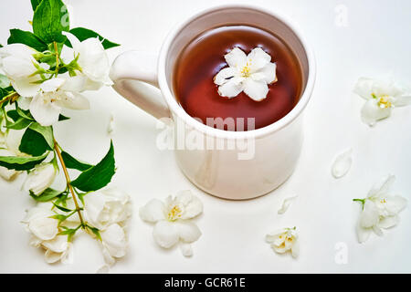 Teetasse mit Jasminblüten auf weißem Hintergrund. Ansicht von oben Stockfoto