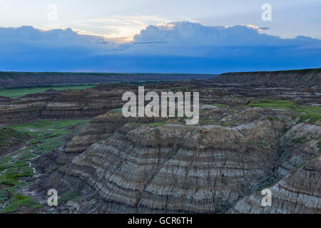 Drumheller Badlands in sanften Dämmerung, Horsethief Canyon, Alberta, Kanada Stockfoto