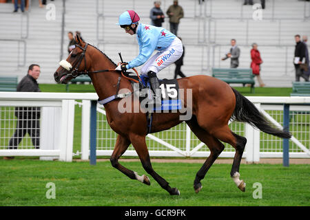 Horse Racing - vierte CAMRA Bierfest - Tag eins - Ascot Racecourse Stockfoto