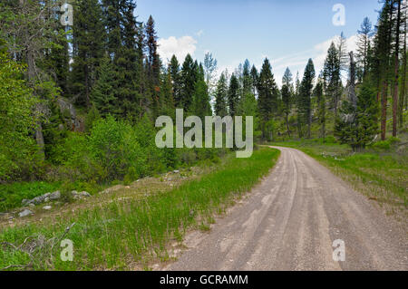 Scenic Byway in Montana, mit üppigen grünen Wäldern Stockfoto