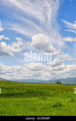 Offenem Grasland und den großen Himmel, Montana. Stockfoto