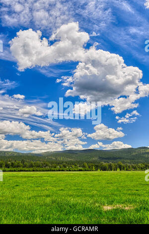 Offenem Grasland und den großen Himmel, Montana. Stockfoto