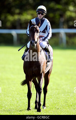 Pferderennen Sie-Nottingham Racecourse Stockfoto