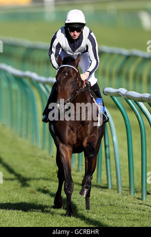 Pferderennen Sie-Nottingham Racecourse Stockfoto