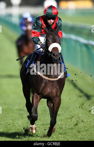 Jockey Shane Kelly auf der Nachtschwexe während der europäischen Züchter Fondsmaiden-Anteile (Klasse 4) Stockfoto