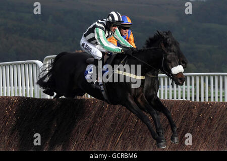 Pferderennen Sie-Cheltenham Racecourse Stockfoto