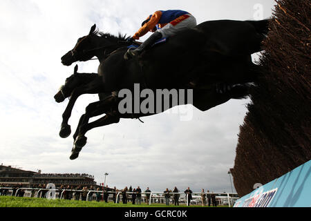 Pferderennen - Cheltenham Rennbahn. Pferde und Jockey während der Handicap Chase Sportingbet.com Stockfoto