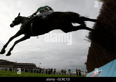 Pferderennen Sie-Cheltenham Racecourse Stockfoto