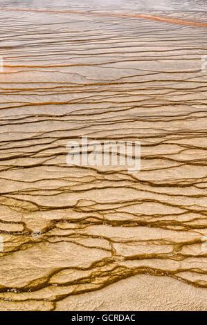 Algen-Muster am Rand des Grand Bildobjekte Frühling, Yellowstone-Nationalpark Stockfoto