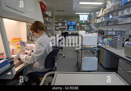 Ein Mitarbeiter arbeitet in einem Labor im neuen Influenza Resource Center am National Institute of Biological Standards and Control der Health Protection Agency in South Minns, Hertfordshire. Stockfoto