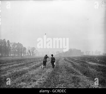 Allgemeine Aufnahmen eines Wochenendes von Wildvogelschießen auf dem Marks Tey Anwesen von Herrn Nat. Sherwood in Essex. Stockfoto