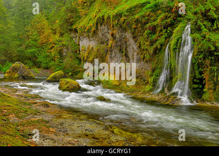 Beautiful Salmon Creek Falls umgeben von üppiger grüner Vegetation. Stockfoto