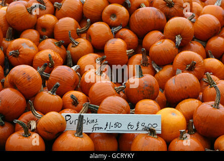 Halloween 2010 Stockfoto