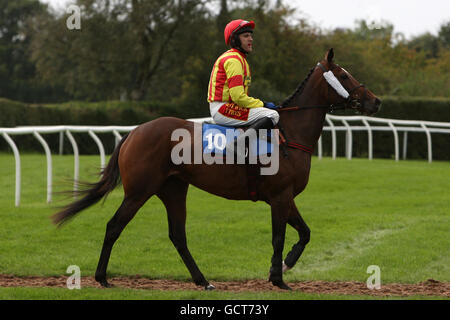 Pferderennen - FSB Family Funday - Markt Rasen. Ambrose Princess unter dem Jockey Tom Scudamore, der für die Read Paul Nicholls exklusiv bei Betfair Handicap Hurdle posten wird Stockfoto