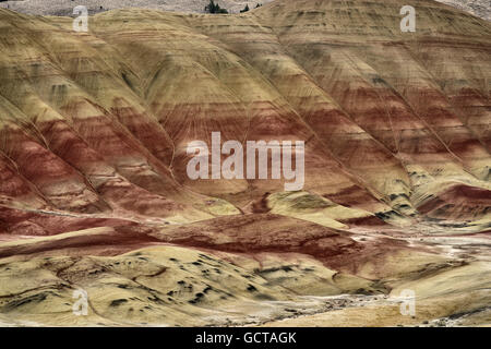 Schöne rote und braune Farben im Oregon Painted Hills. Stockfoto