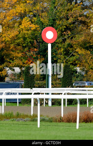 Pferderennen - Weatherbys Jump Meeting - Kempton Park. Der letzte Posten im Kempton Park Stockfoto