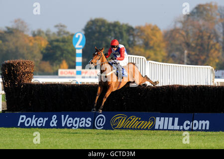 Pferderennen - Weatherbys Jump Meeting - Kempton Park. Jockey Jamie Goldstein auf dem Golan Way während des Weatherbys Bloodstock Insurance Graduation Chase Stockfoto