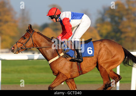 Pferderennen - Weatherbys Jump Meeting - Kempton Park. Jockey Jamie Goldstein auf dem Golan Way während des Weatherbys Bloodstock Insurance Graduation Chase Stockfoto