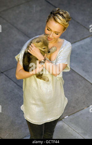 Hayden Panettiere kommt zur Vorführung des neuen Animationsfilms Alpha und Omega im BFI Southbank in London. DRÜCKEN SIE VERBANDSFOTO. Bilddatum: Sonntag, 10. Oktober 2010. Der Bildnachweis sollte lauten: Ian West/PA Stockfoto