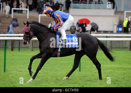 Horse Racing - Cambridgeshire Meeting - Tag zwei - Newmarket Racecourse Stockfoto