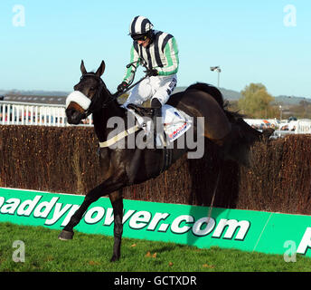 Pferderennen Sie - Paddy Power Gold Cup Day - Cheltenham Racecourse Stockfoto