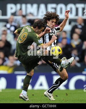 Fußball - Barclays Premier League - Newcastle United gegen Fulham - St James' Park. Fabricio Coloccini von Newcastle United (rechts) und Simon Davies von Fulham (links) in Aktion Stockfoto