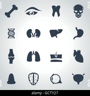 Vector schwarz-Anatomie-Icon-set Stock Vektor